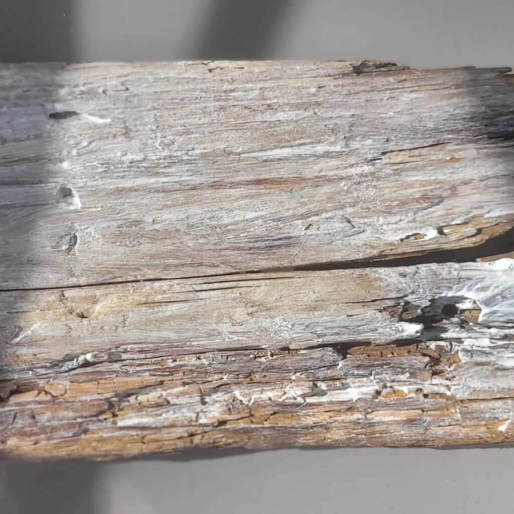 WhatsApp Image 2024-07-27 at 16.44.48